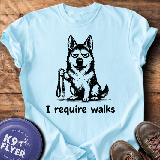 0004 I Require Walks - Chambray mockup (corrected placement)