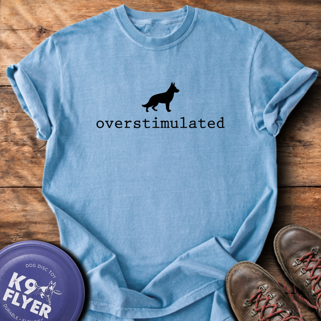 Overstimulated T-Shirt - Washed Denim