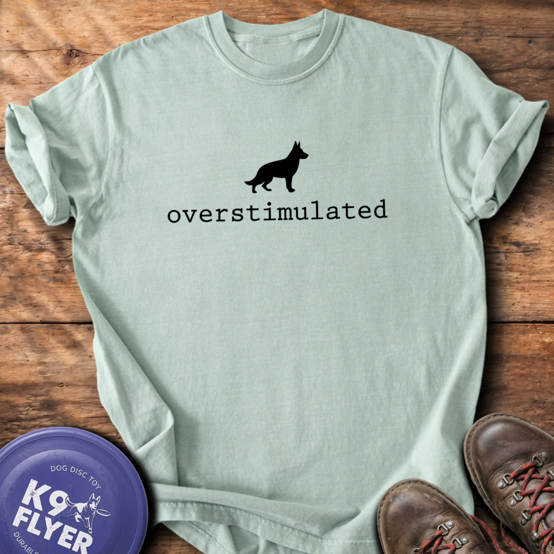 Overstimulated T-Shirt - Bay