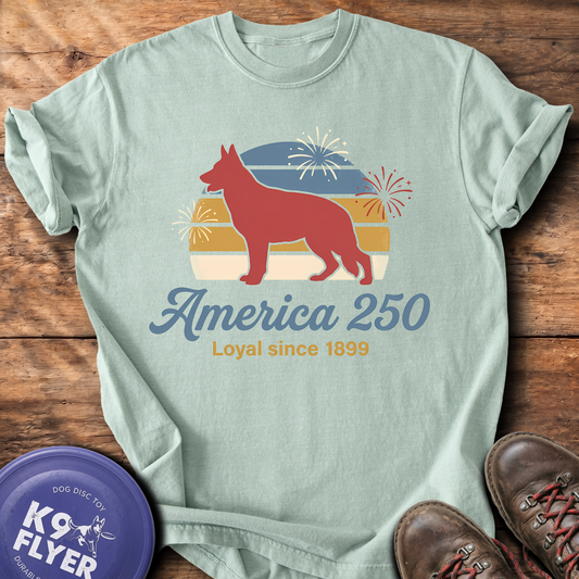 0125 Retro America 250 - Bay