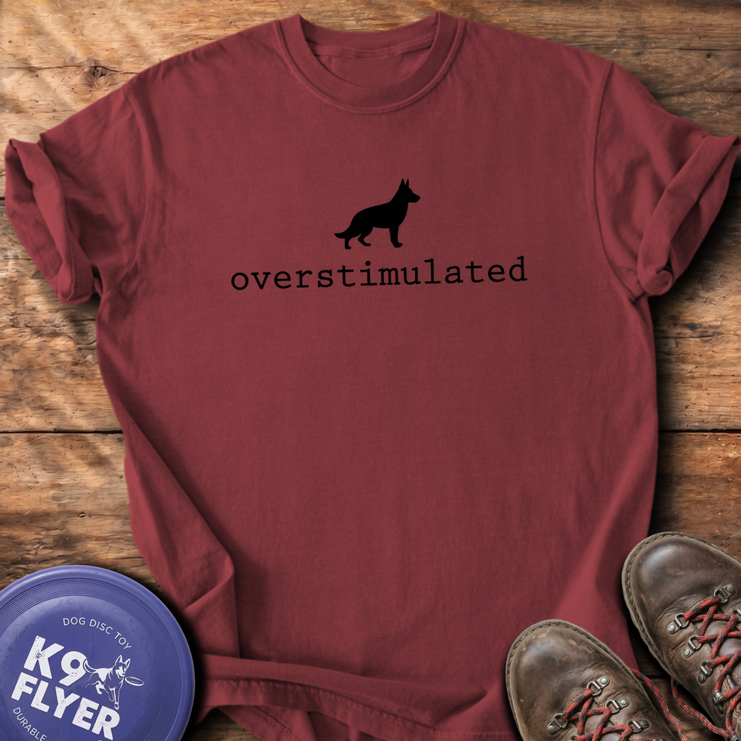 Overstimulated T-Shirt - Brick