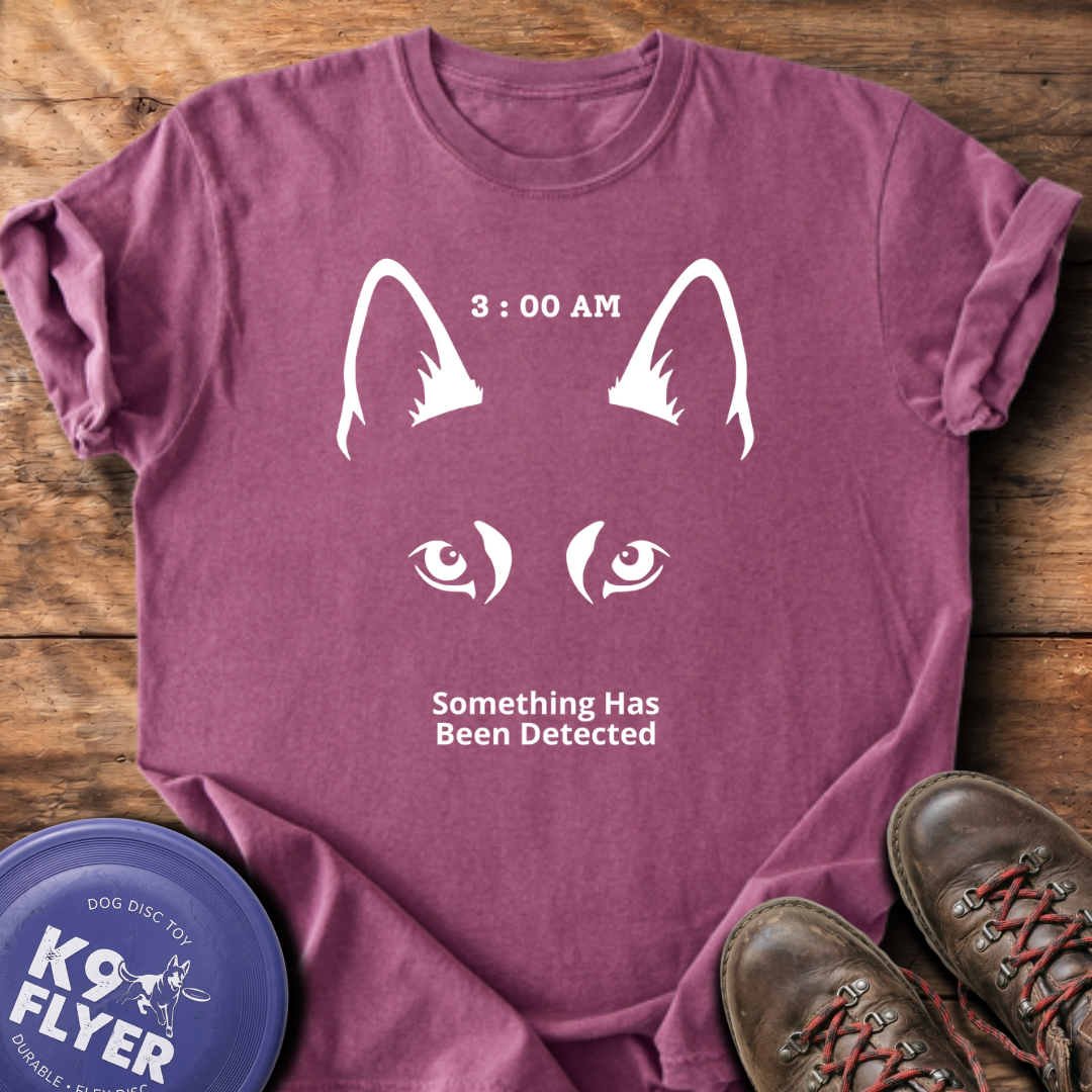3AM T-Shirt - Berry