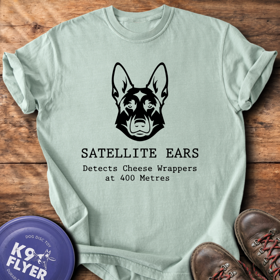 Satellite Ears - Bay