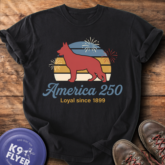 0125 Retro America 250 - Black