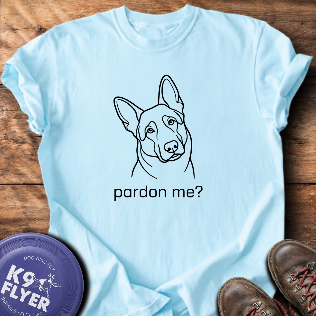 Pardon Me - Chambray