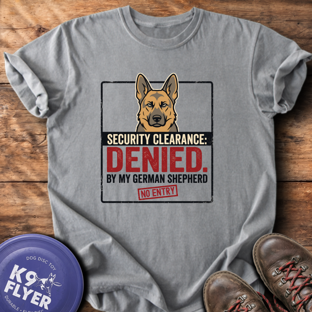 Security Denied - Grey