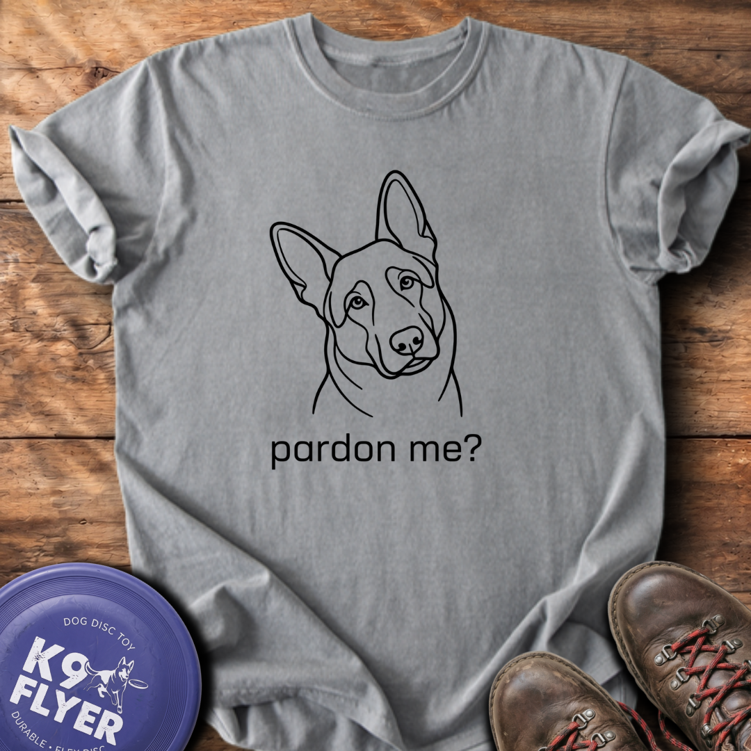 Pardon Me - Grey