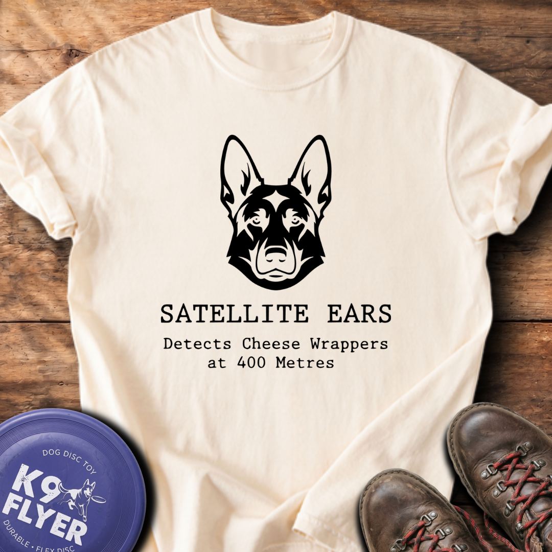 Satellite Ears - Ivory