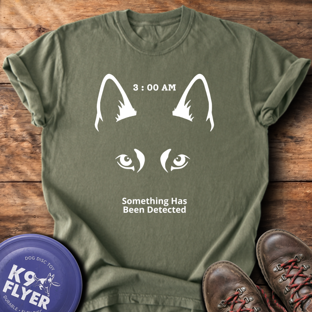 3AM T-Shirt - Sage