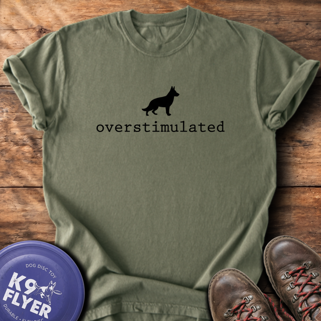 Overstimulated T-Shirt - Sage