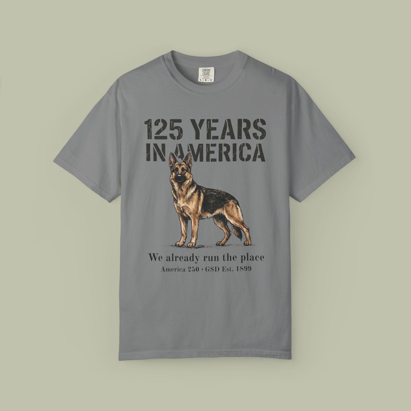 125 Years In America T-Shirt