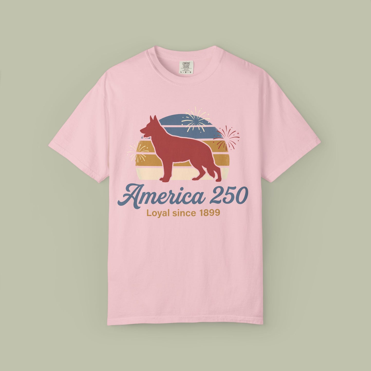 Retro America 250 T-Shirt