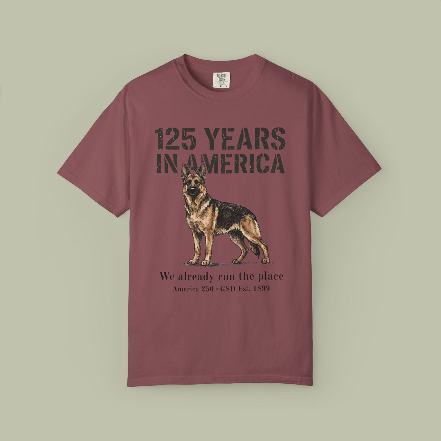 125 Years In America T-Shirt