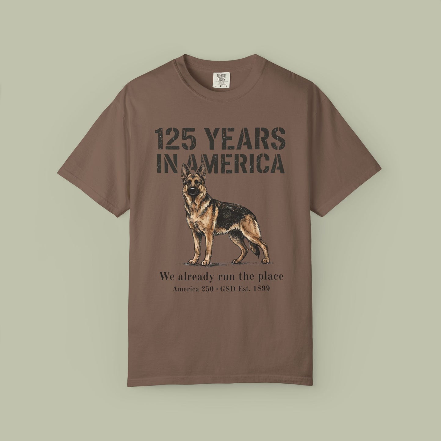 125 Years In America T-Shirt