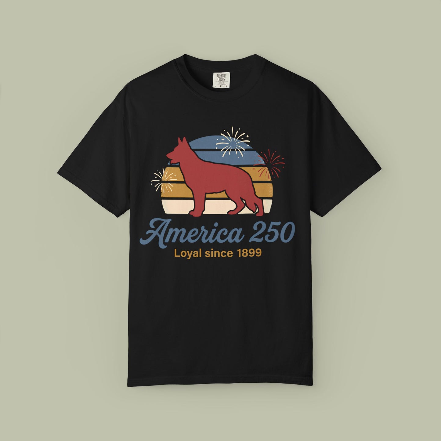 Retro America 250 T-Shirt